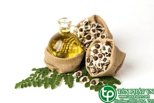 Ở đâu bán chùm ngây tại Thanh Hóa ngăn ngừa và hỗ trợ chữa trị ung thư