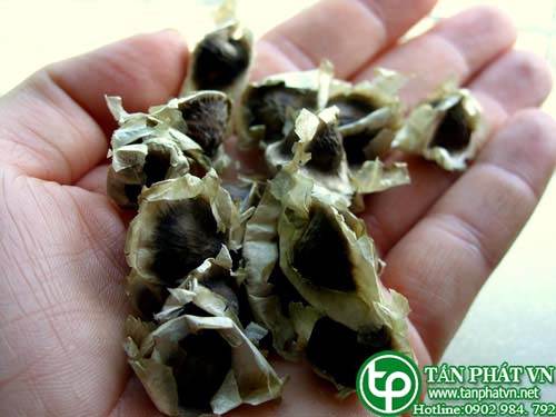 Phân phối, bán chùm ngây tại quận 6 thanh lọc giải độc cơ thể