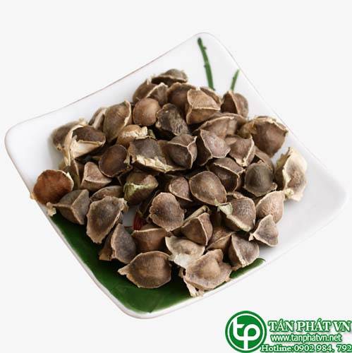 Phân phối, bán chùm ngây tại quận 8 ngừa thiếu máu