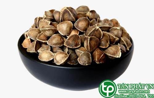 Phân phối, bán chùm ngây tại quận 9 có tác dụng phòng chống bệnh tiểu đường