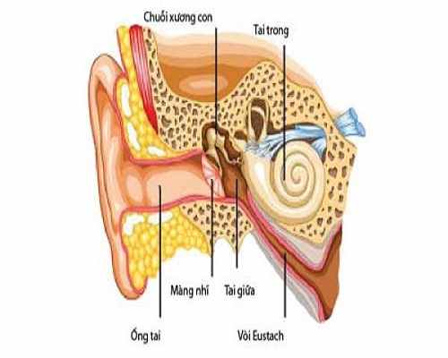 Triệu chứng, biểu hiện viêm tai giữa